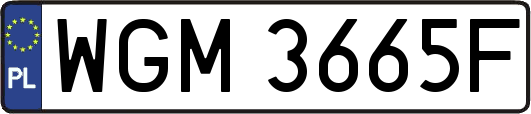 WGM3665F