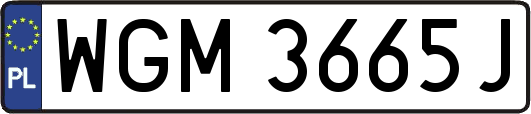 WGM3665J