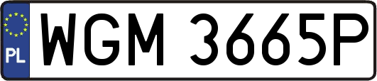 WGM3665P