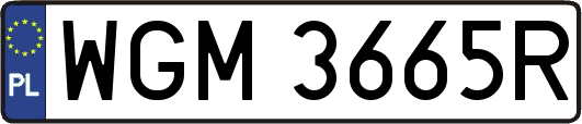 WGM3665R