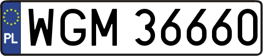 WGM36660