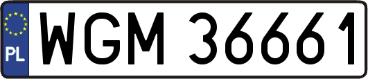 WGM36661
