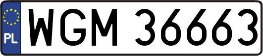 WGM36663