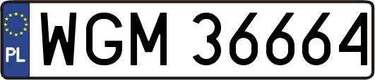WGM36664