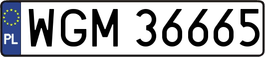 WGM36665