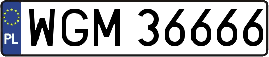 WGM36666