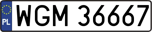 WGM36667
