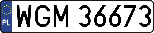 WGM36673