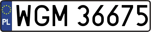 WGM36675