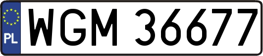 WGM36677