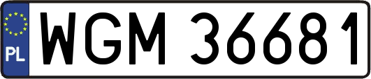 WGM36681
