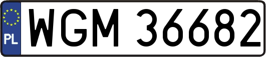 WGM36682