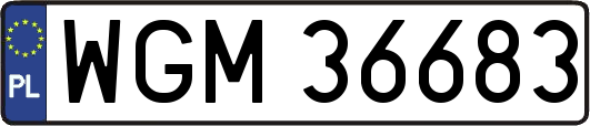 WGM36683