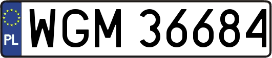 WGM36684