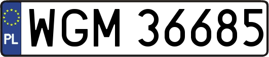 WGM36685