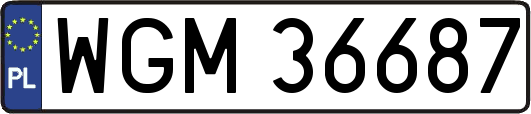 WGM36687