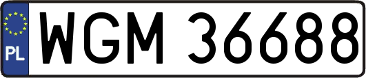 WGM36688