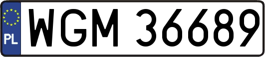 WGM36689