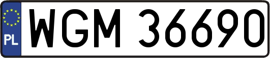 WGM36690