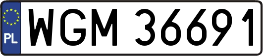WGM36691