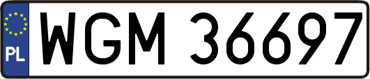 WGM36697