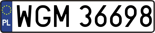 WGM36698