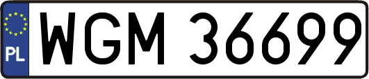 WGM36699