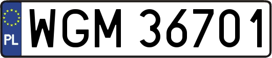 WGM36701