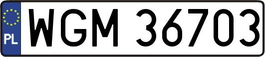 WGM36703