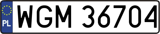 WGM36704