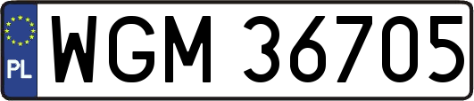 WGM36705