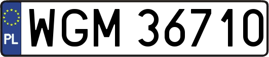 WGM36710