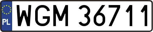 WGM36711