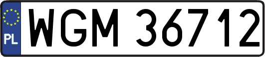 WGM36712