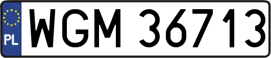 WGM36713