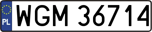 WGM36714