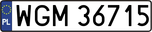 WGM36715