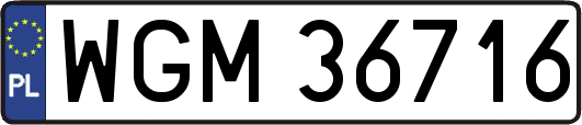 WGM36716