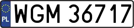 WGM36717