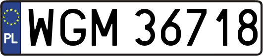 WGM36718