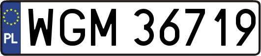 WGM36719