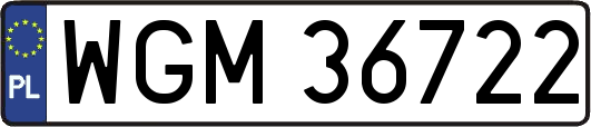 WGM36722
