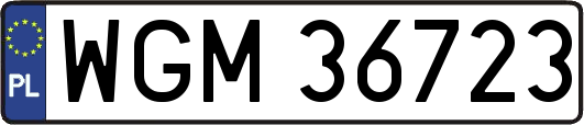 WGM36723
