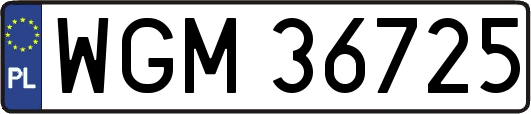 WGM36725