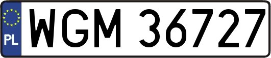 WGM36727