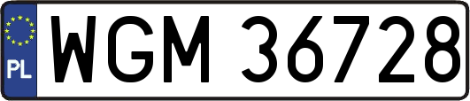 WGM36728