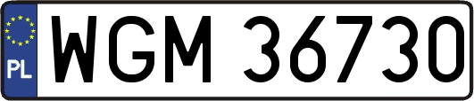 WGM36730