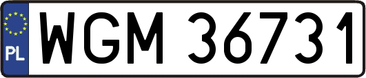 WGM36731
