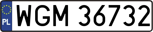 WGM36732
