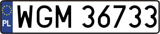 WGM36733